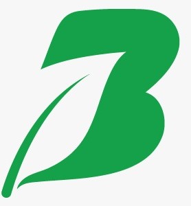 Company Icon